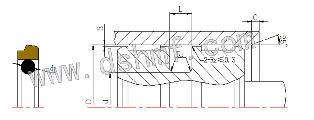 DSD孔用斯特封密封件的規(guī)格型號(hào) 型號(hào)規(guī)格 DSD孔用斯特封密封件的規(guī)格型號(hào) 型號(hào)規(guī)格