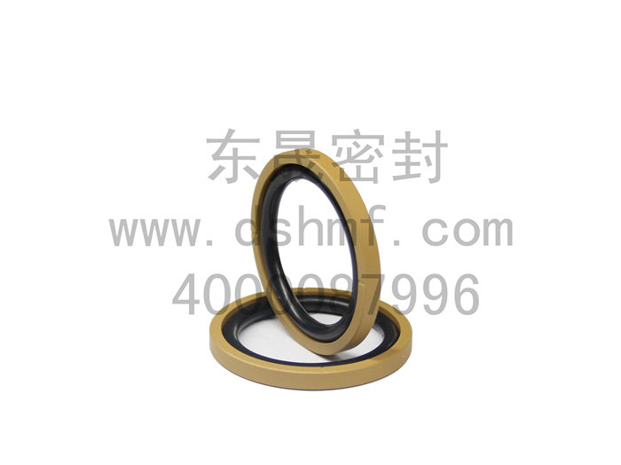 液壓密封件-格萊圈 液壓密封件-格萊圈